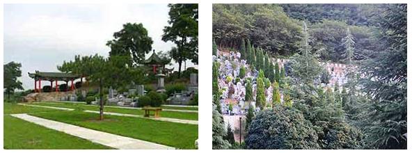 西安公交直達(dá)、景色宜人、枕山面水墓園