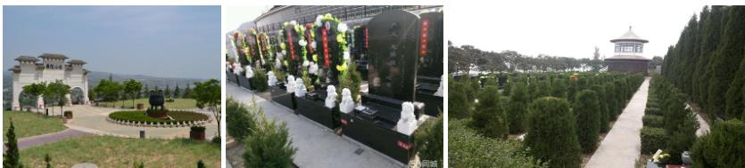 西安霸陵墓園新區(qū)圖片