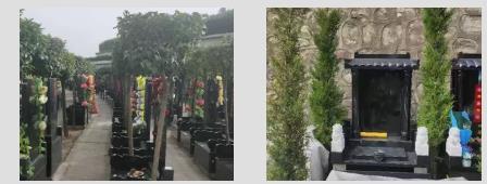 西安霸陵墓園新區(qū)電話