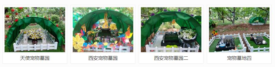 西安狗狗墓地多少錢(qián)