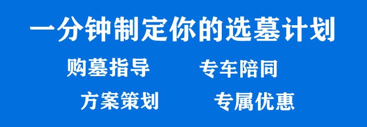 購墓指導(dǎo)、方案策劃