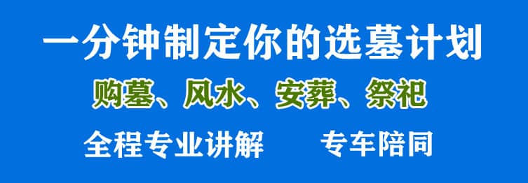 購墓指導(dǎo)、方案策劃