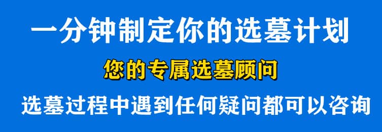 購墓指導(dǎo)、方案策劃