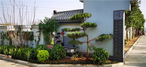 漢皇樹葬墓園和昭陵墓園在地理位置上有何不同，這對選擇墓園有何影響？