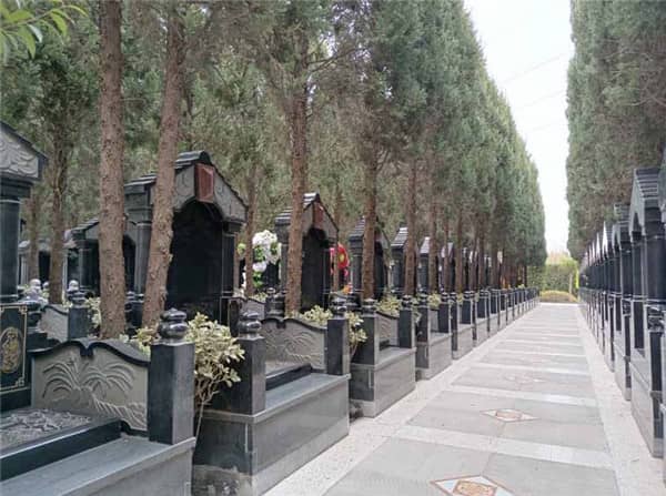 西安漢皇樹葬墓園在提升園區(qū)綠化覆蓋率與文化品位方面有哪些舉措？