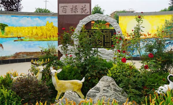 閻良漢皇樹葬骨灰公墓提供節(jié)地生態(tài)葬服務嗎？