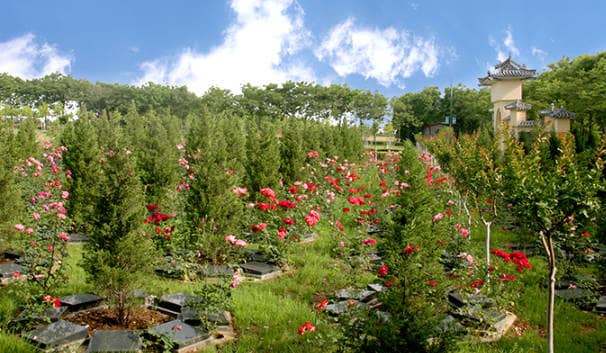西安鳳棲山墓園的愛心園區(qū)域有哪些獨(dú)特之處