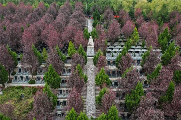 西安壽陽山墓園逐步恢復(fù)各項服務(wù)