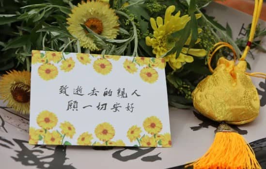 如何通過公共交通到達西安壽陽山墓園（以白鹿原影視城旅游專線為例）？