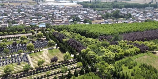 西安壽陽(yáng)山墓園掃墓：尊重生命，緬懷逝者