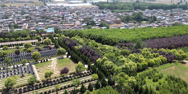 前往西安壽陽山公墓，除了公交車之外還有哪些便捷的交通方式？