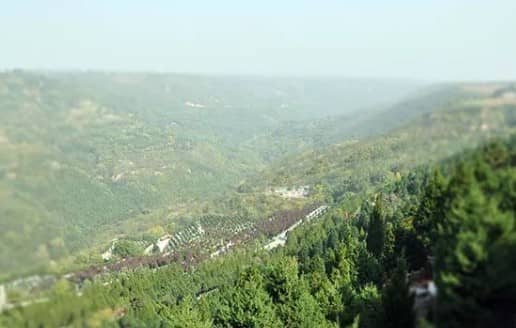 西安壽陽(yáng)山墓園免費(fèi)擺渡車(chē)