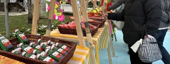 西安壽陽山公墓：深化殯葬改革，推行節(jié)地生態(tài)葬