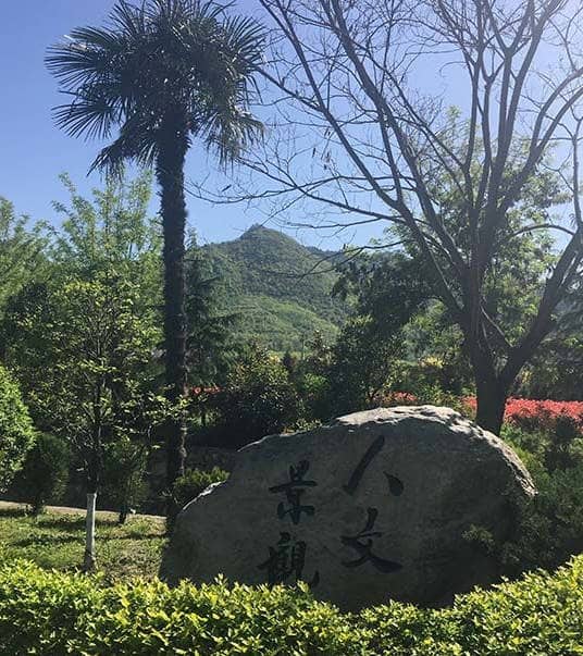 金南山陵園和慈恩園墓地分別位于西安的哪些區(qū)域，各自有哪些特色？