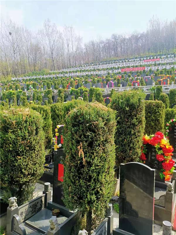 九龍山墓園西安地址在那
