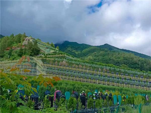 九龍山公墓是否提供維護(hù)服務(wù)，如何保證墓園的整潔和美觀？