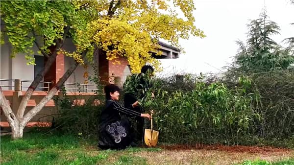 西安霸陵墓園新區(qū)怎么樣，選購攻略全面解讀！