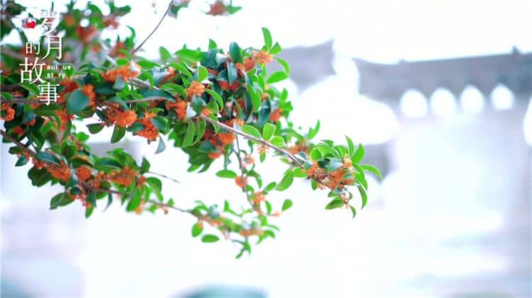 西安霸陵陵園的環(huán)境如何，對逝者和家屬有何特殊意義？
