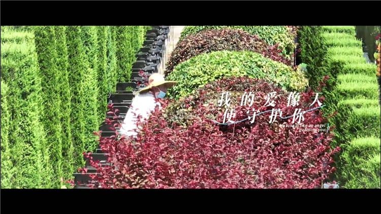 西安霸陵墓園老區(qū) 新區(qū)，一片世界