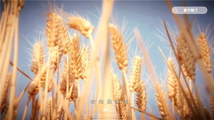 西安霸陵墓園有哪些顯著的特點？