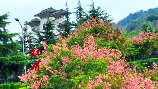 西安霸陵墓園在哪預約，選購攻略全面解讀！