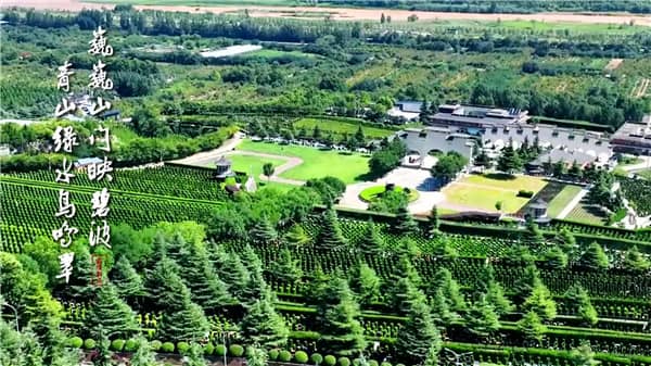 西安霸陵墓園新區(qū)有哪些在售的墓型？