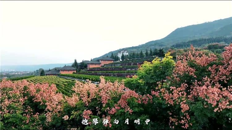關于環(huán)保性，霸陵墓園如何做到減少對環(huán)境的影響？