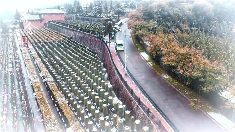 西安霸陵公墓提供哪些交通服務(wù)來方便家屬和訪客？
