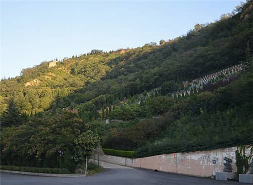 西安高橋墓園是否提供定制化的墓位服務，定制墓位的價格如何計算？
