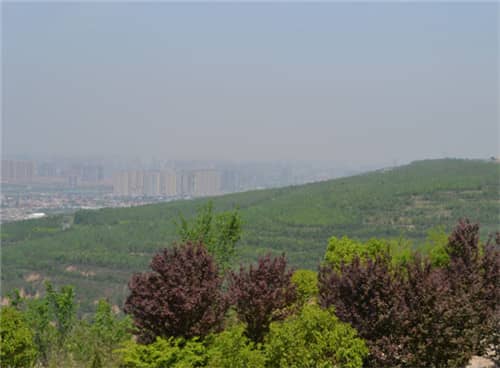 如何便捷地前往灞橋高橋墓園？