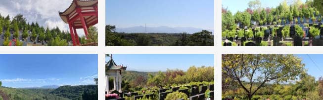 如果喪屬無法親自前往西安白鹿原公墓祭掃，他們應(yīng)該如何聯(lián)系公墓方以獲取代客祭掃服務(wù)？