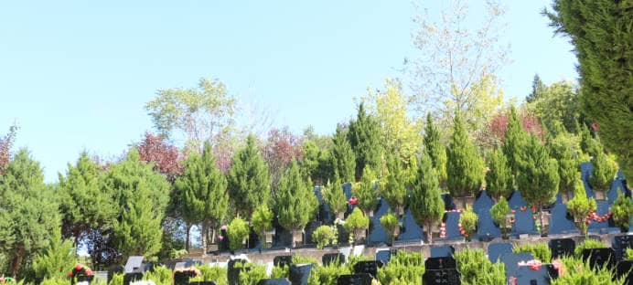 白鹿原公墓的環(huán)境有哪些特點，為什么被認為是風水寶地？