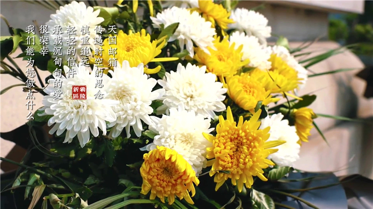 西安閻良區(qū)漢皇樹(shù)葬墓園樹(shù)葬推薦_生態(tài)安葬的溫馨選擇