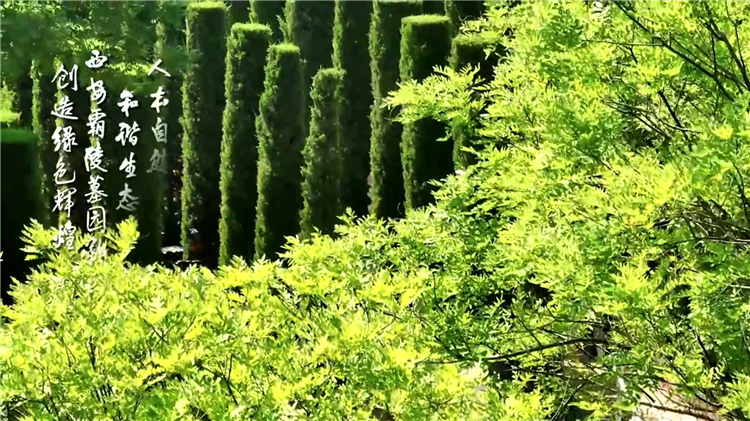 西安閻良區(qū)墓園推薦-漢皇樹(shù)葬墓園購(gòu)墓指南