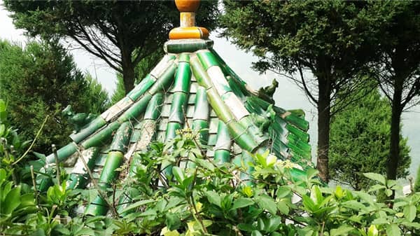 墓地不選第一排和最后一排？原因解析