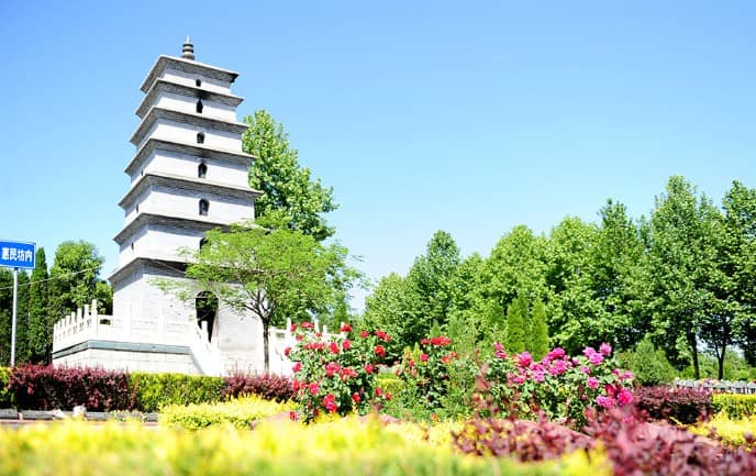 墓地價(jià)格解析與參考