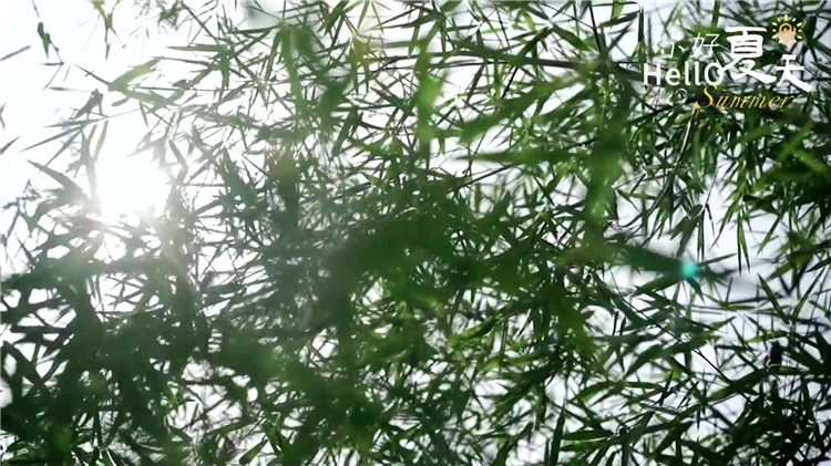 西安漢陵墓園全面介紹 | 國(guó)有合法墓園的五大核心優(yōu)勢(shì)解析