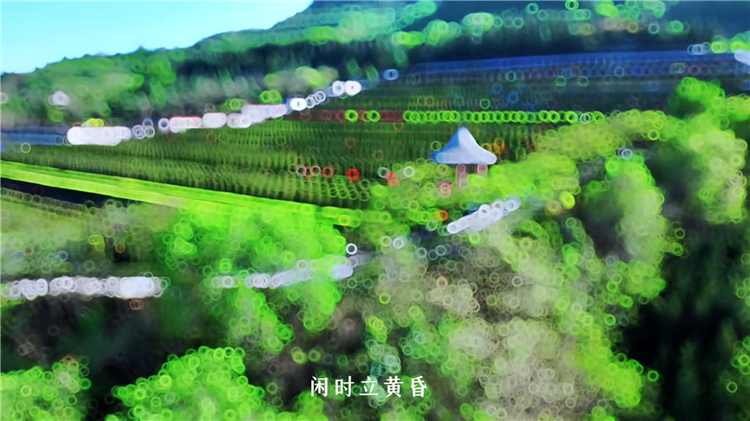 骨灰盒放入墓地是否稱為“下葬”？傳統(tǒng)與現(xiàn)代的定義解析