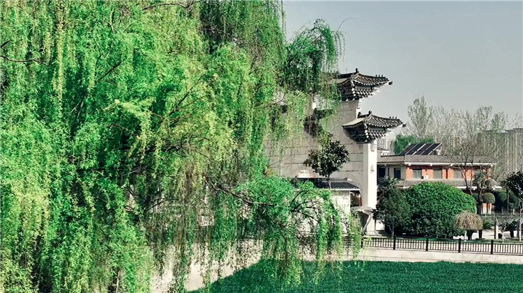 清明祭掃高峰期間的安排建議-解析錯峰出行與禮儀規(guī)范