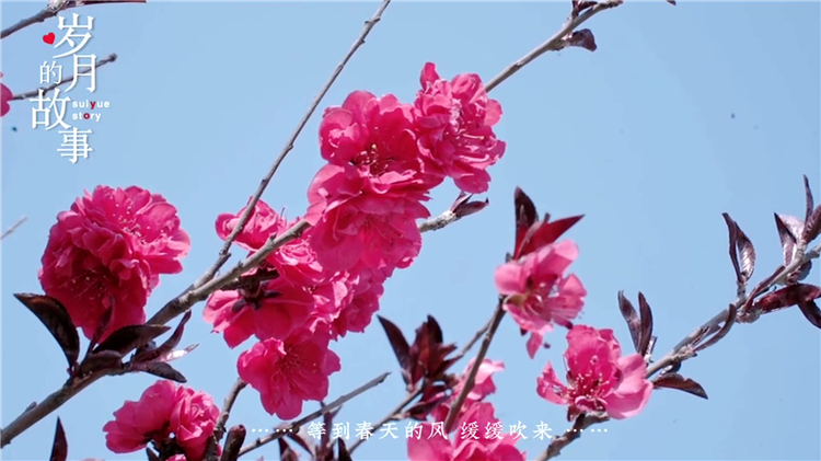 公墓環(huán)境對逝者與家屬的影響分析：如何選擇理想安息之地？
