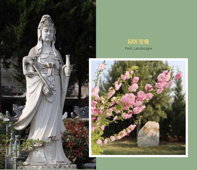 如何讓家屬接受深埋葬這種傳統(tǒng)安葬方式？