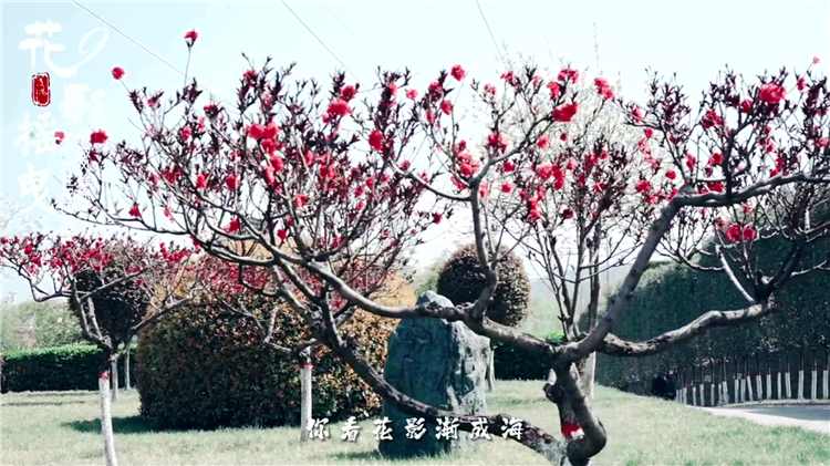 已故老人周年祭奠可以提前嗎？時(shí)間安排與注意事項(xiàng)詳解