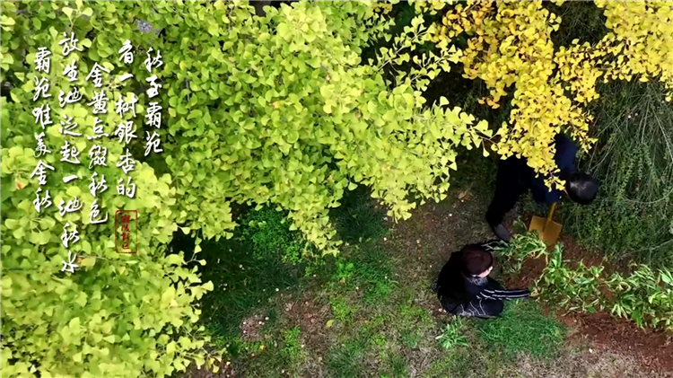 西安市雁塔區(qū)三兆路陵園位置與特色_陜西省國有性公墓的自然美景
