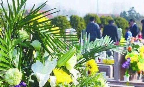 請問花壇葬區(qū)域的花卉種類和布局如何選擇？是否定期更換？
