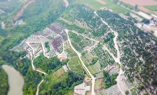 西安驪山墓地風(fēng)水如何，讓您的挑選更省心